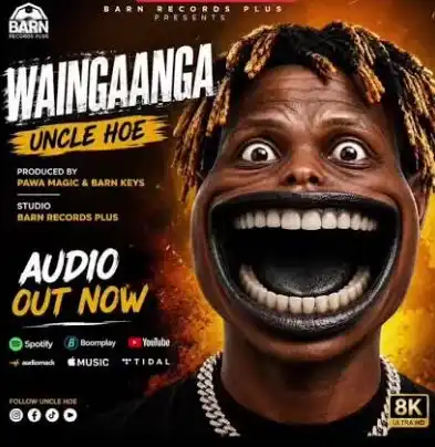 Waingaanga